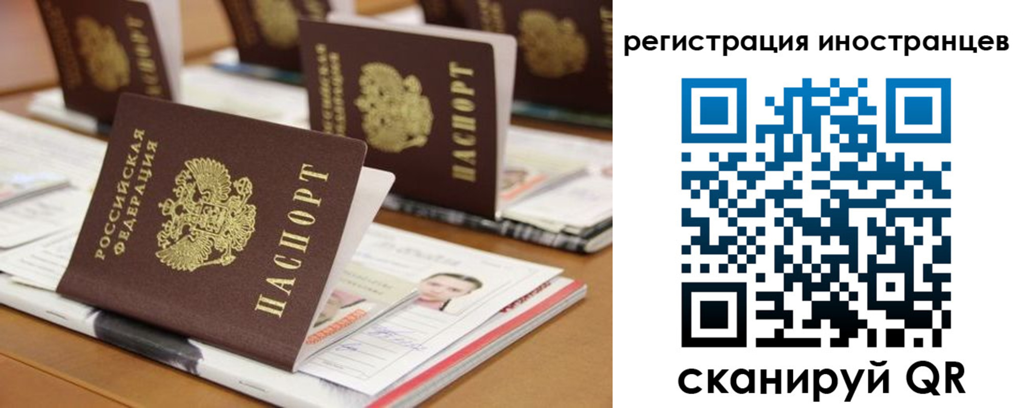 пропишу в квартире в Домодедово