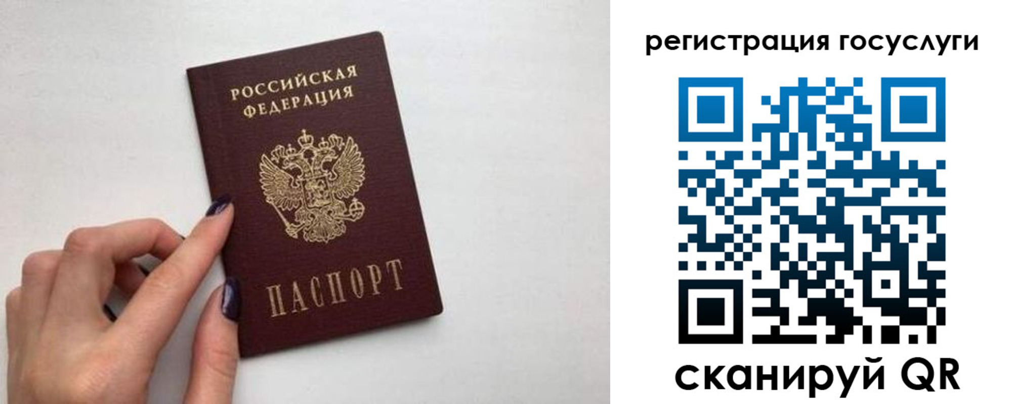 временная регистрация гарантия в Домодедово